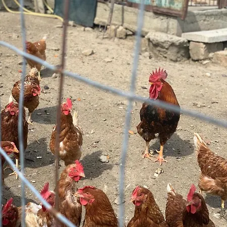 Vakantieboerderij Annibale *