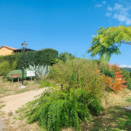 Annibale Tuoro sul Trasimeno