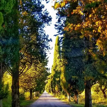 Annibale * Tuoro sul Trasimeno