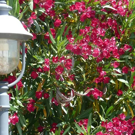 Agriturismo Annibale Farm stay Tuoro sul Trasimeno