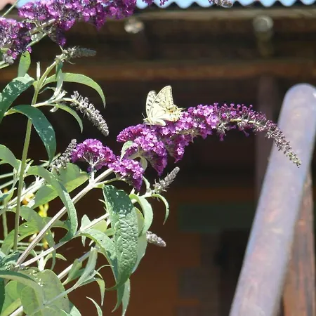 Agriturismo Annibale *