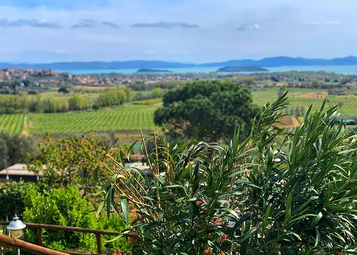 팜스테이 Annibale *