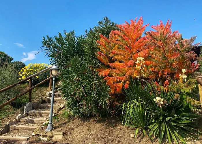 팜스테이 Annibale 투오로술트라시메노
