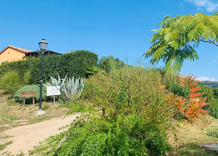 Annibale 투오로술트라시메노