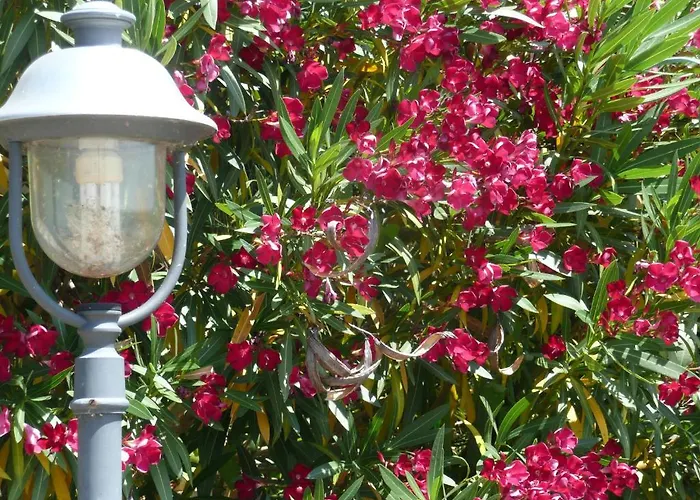 Annibale 팜스테이 투오로술트라시메노