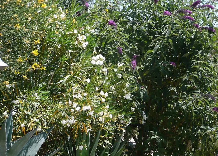 Annibale Tuoro sul Trasimeno